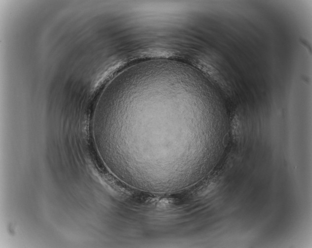 X0000102260352200808011410