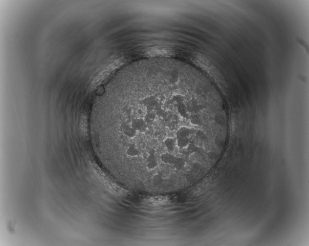 X0000102260353200808011410