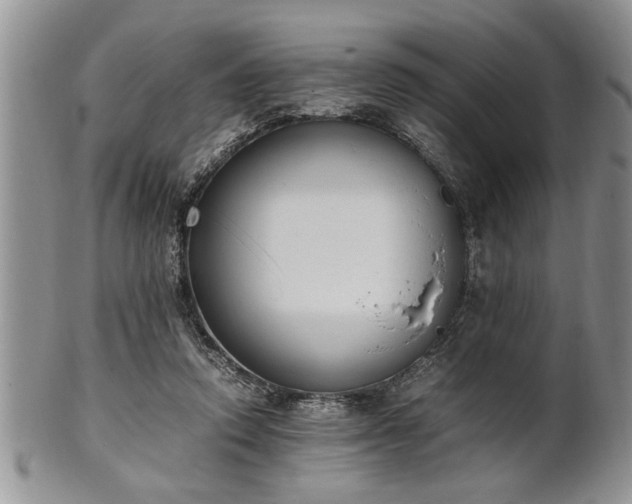 X0000102260354200808011410