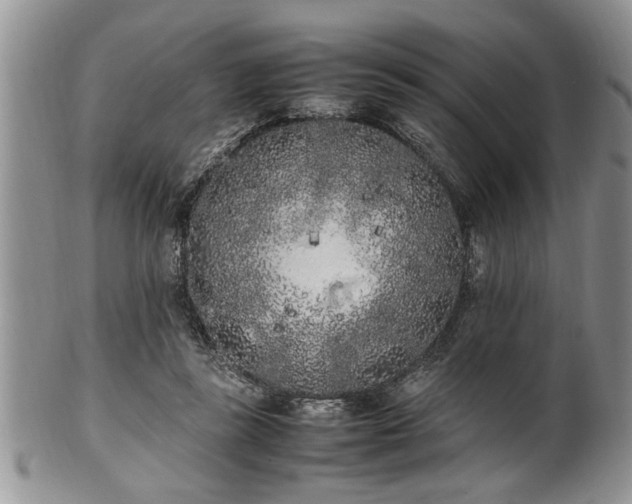 X0000102260355200808011410