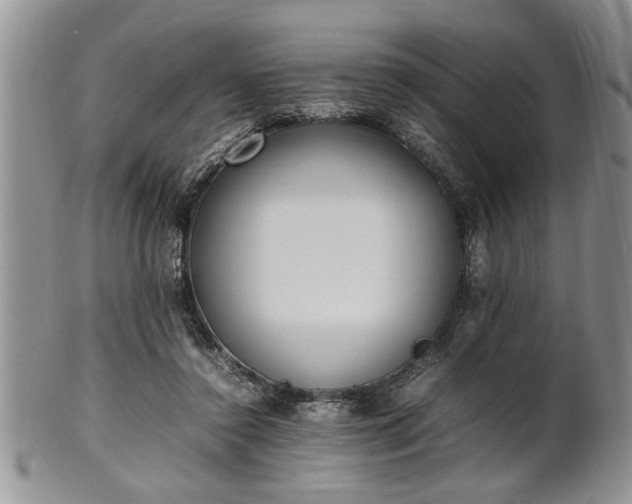 X0000102260356200808011410