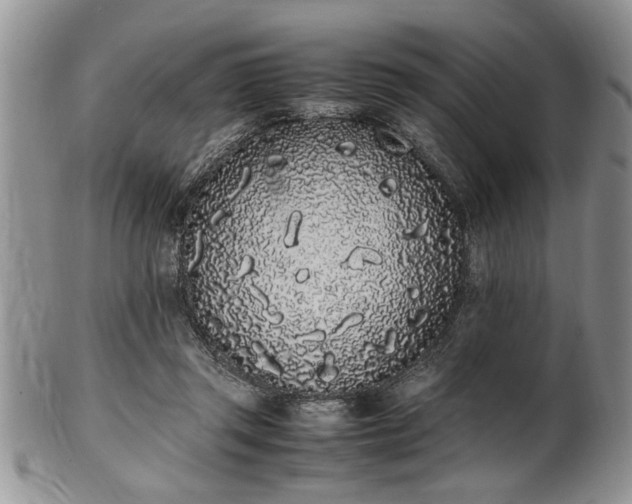 X0000102260357200808011410