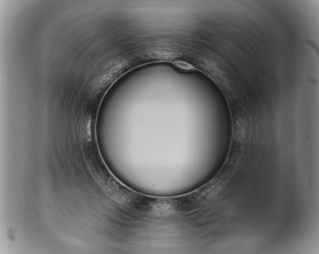 X0000102260358200808011410