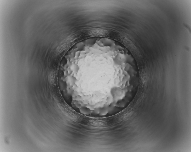 X0000102260359200808011410