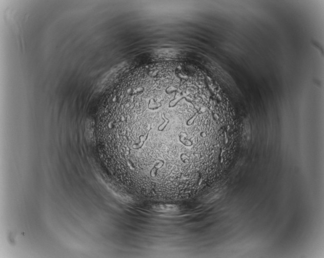 X0000102260361200808011410