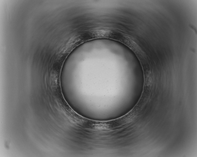 X0000102260363200808011410