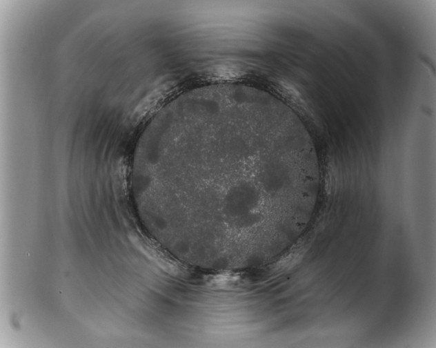 X0000102260366200808011410