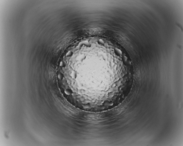 X0000102260367200808011410