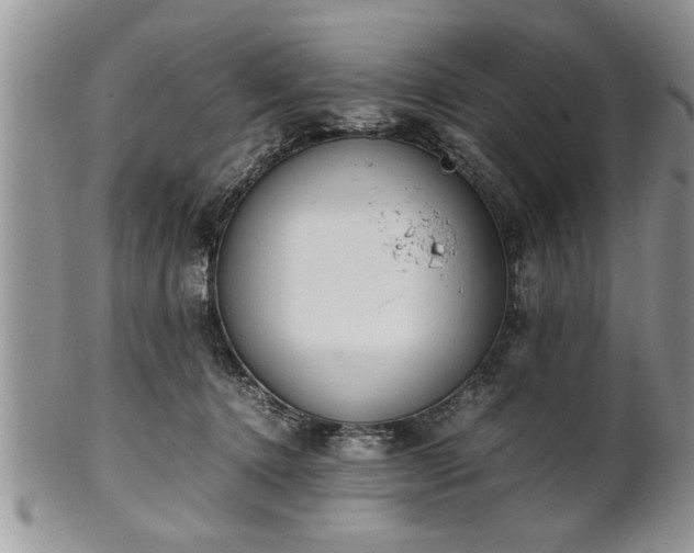 X0000102260368200808011410