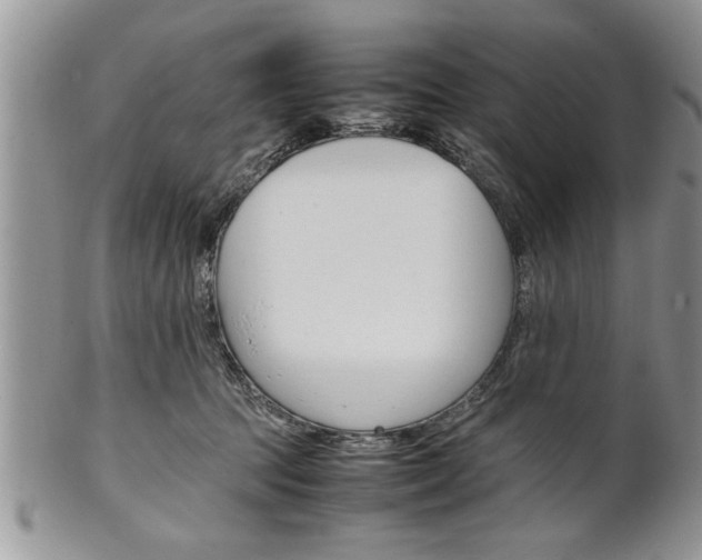 X0000102260369200808011410