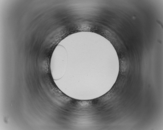 X0000102260370200808011410