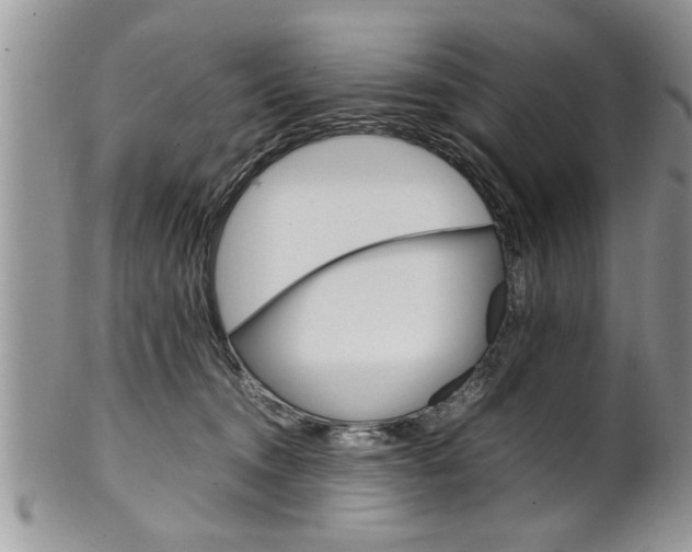 X0000102260372200808011410