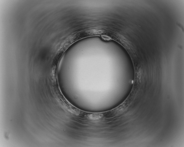 X0000102260373200808011410