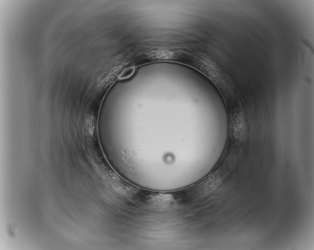 X0000102260374200808011410