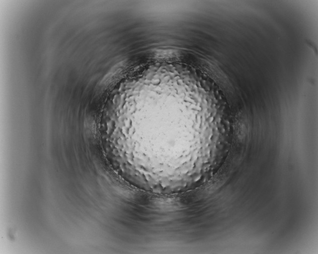 X0000102260375200808011410