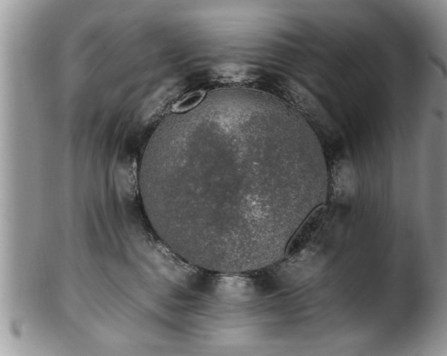 X0000102260376200808011410