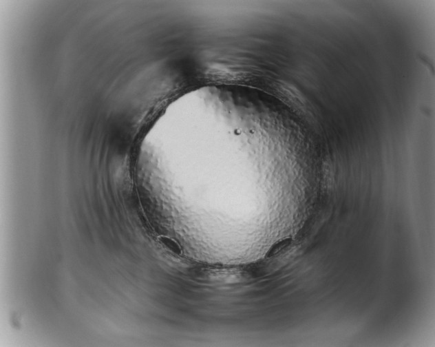 X0000102260377200808011410