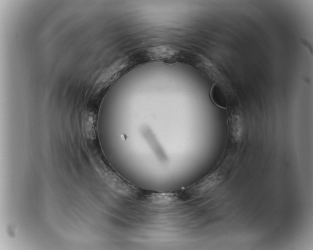 X0000102260378200808011410