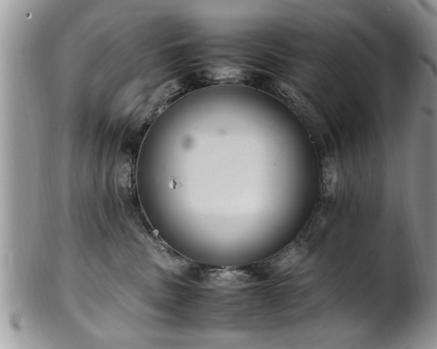 X0000102260379200808011410