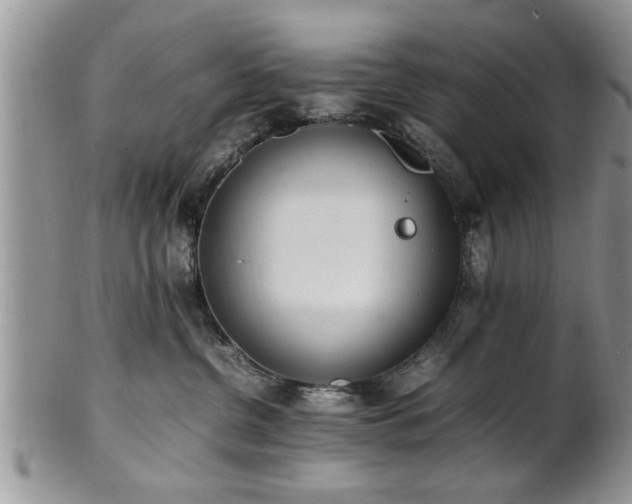 X0000102260380200808011410