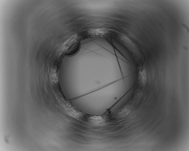 X0000102260381200808011410