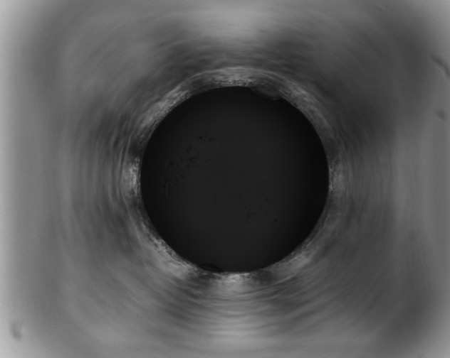 X0000102260382200808011410