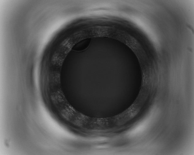 X0000102260383200808011410