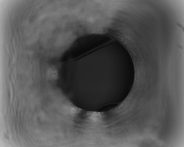 X0000102260384200808011410