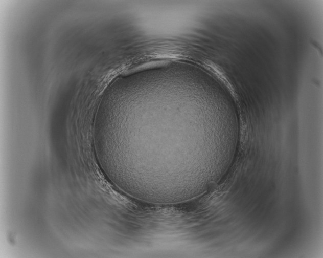 X0000102260385200808011410