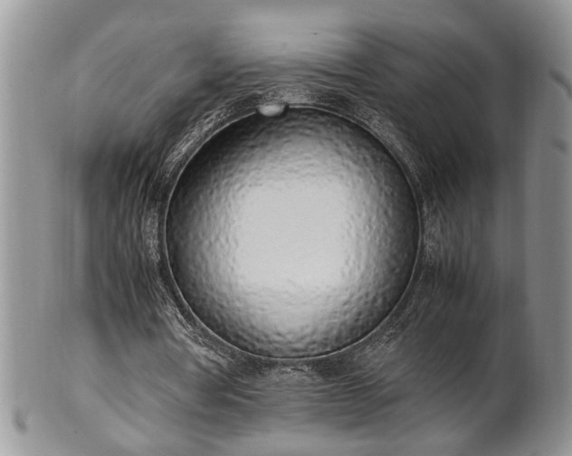 X0000102260386200808011410