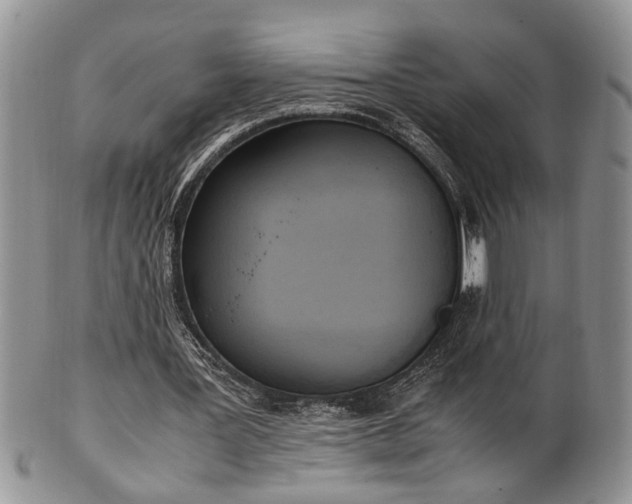 X0000102260387200808011410