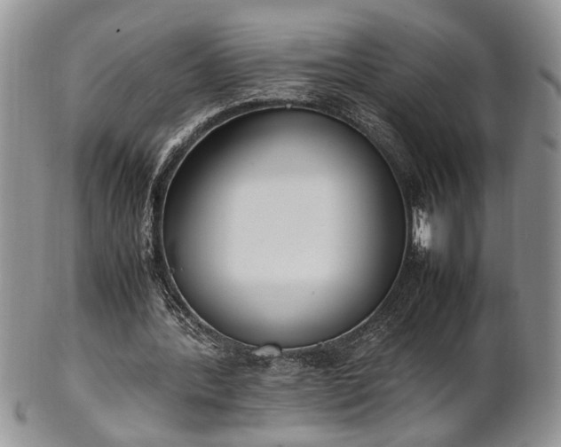 X0000102260388200808011409