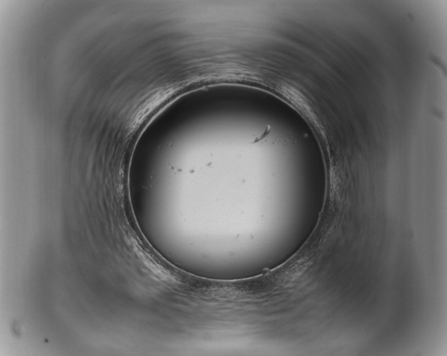 X0000102260389200808011409