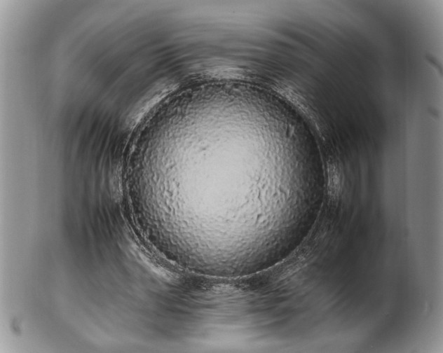 X0000102260390200808011409