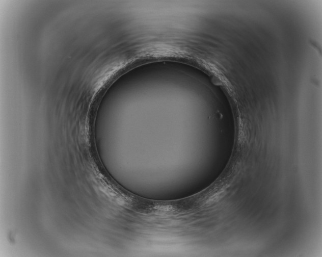 X0000102260391200808011409