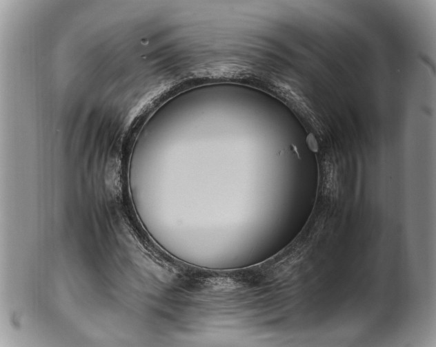 X0000102260392200808011409