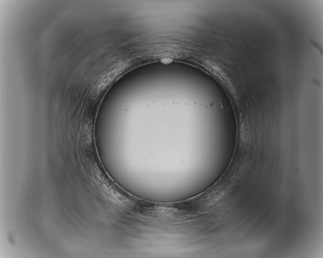 X0000102260393200808011409