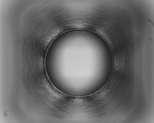 X0000102260394200808011409