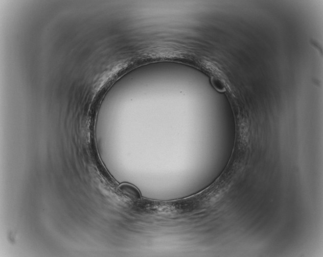 X0000102260395200808011409