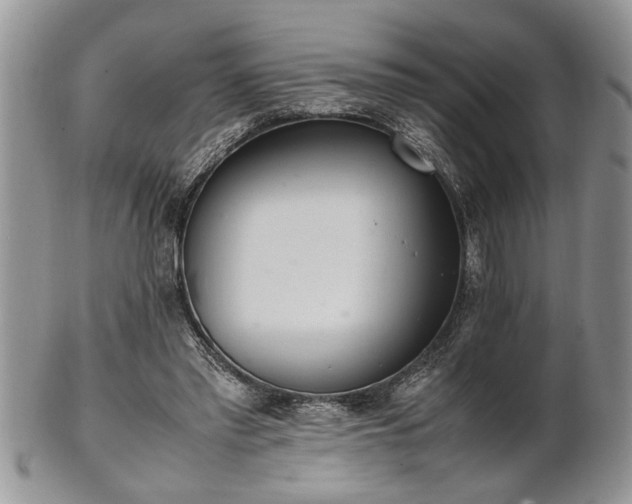 X0000102260397200808011409