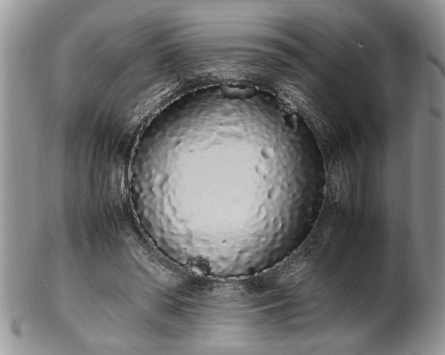 X0000102260398200808011409