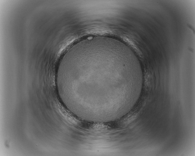 X0000102260399200808011409