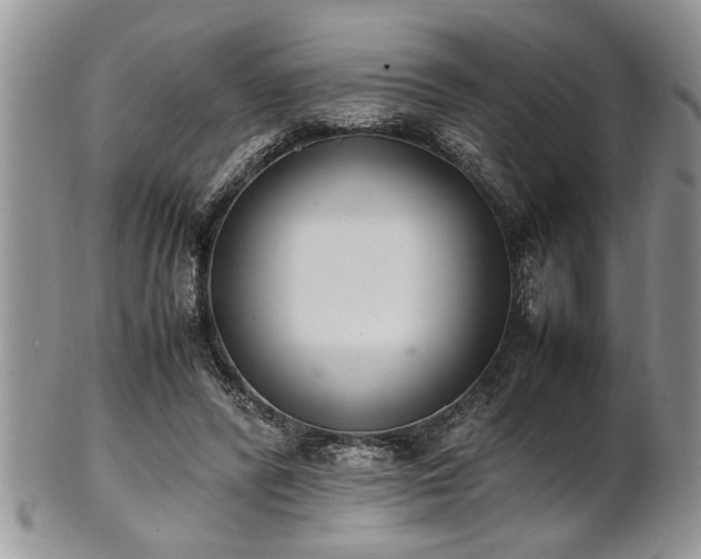 X0000102260400200808011409