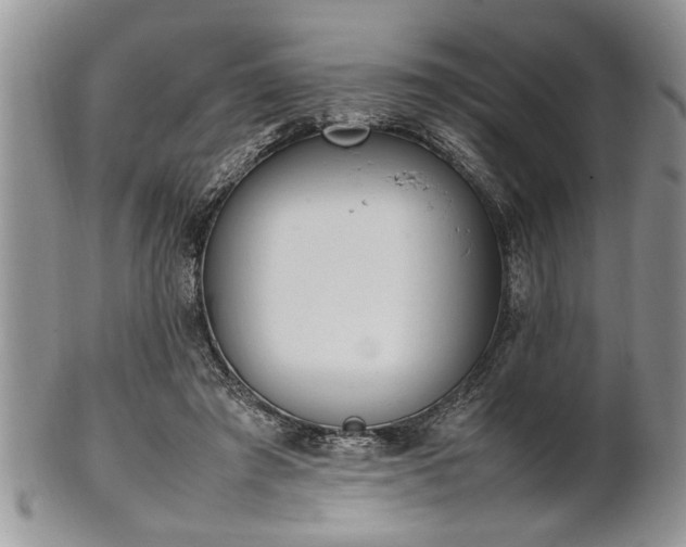 X0000102260401200808011409