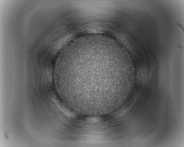 X0000102260402200808011409