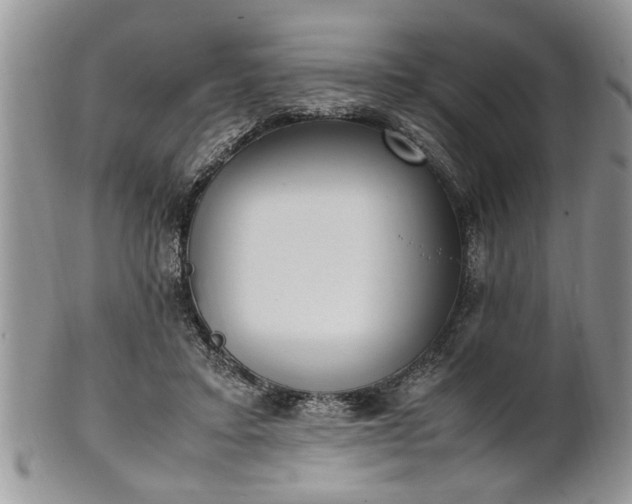 X0000102260403200808011409