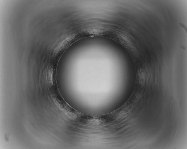 X0000102260404200808011409