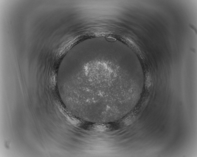 X0000102260405200808011409