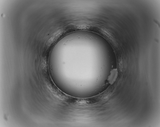 X0000102260407200808011409