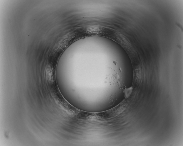 X0000102260408200808011409